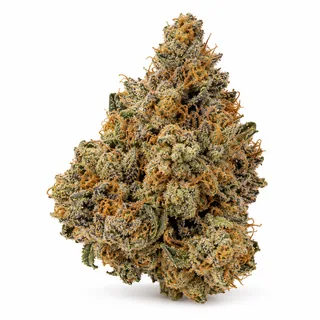AI-generated reimagining of Applescotti dried, trimmed cannabis bud on a white background.