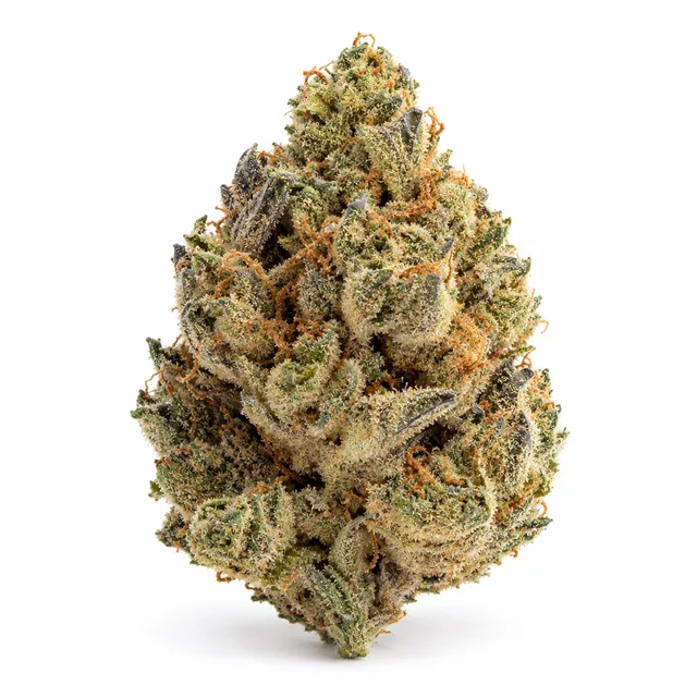 AI-generated reimagining of Black Widow dried, trimmed cannabis bud on a white background.