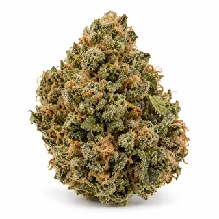 AI-generated reimagining of Blue Dream dried, trimmed cannabis bud on a white background.