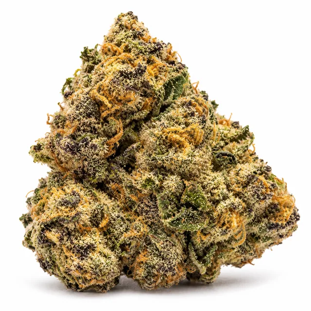 AI-generated reimagining of Blue Sharpie dried, trimmed cannabis bud on a white background.