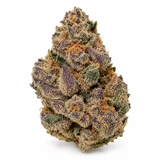 AI-generated reimagining of Blueberry Caviar dried, trimmed cannabis bud on a white background.