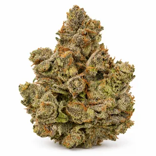 AI-generated reimagining of Canal Street Runtz dried, trimmed cannabis bud on a white background.