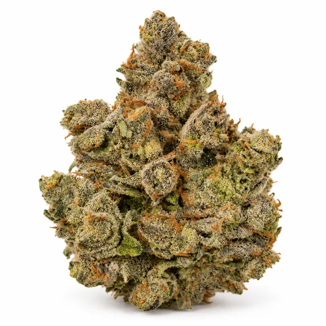 AI-generated reimagining of Canal Street Runtz dried, trimmed cannabis bud on a white background.