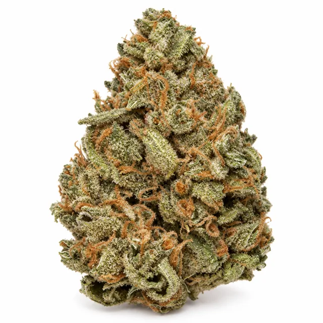 AI-generated reimagining of Cat Piss dried, trimmed cannabis bud on a white background.