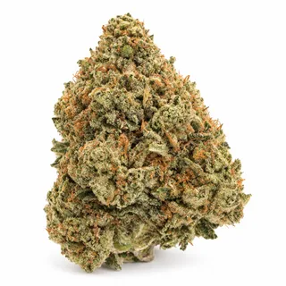 AI-generated reimagining of Colombian Gold dried, trimmed cannabis bud on a white background.