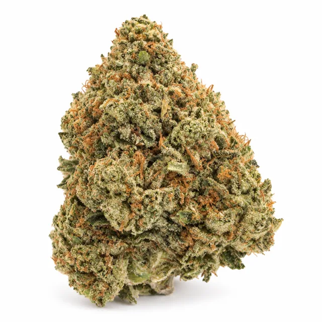 AI-generated reimagining of Colombian Gold dried, trimmed cannabis bud on a white background.