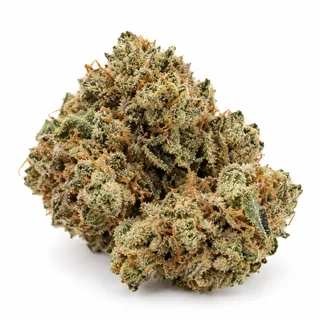AI-generated reimagining of Future #1 dried, trimmed cannabis bud on a white background.