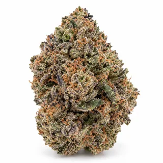 AI-generated reimagining of Gushers dried, trimmed cannabis bud on a white background.