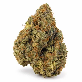 AI-generated reimagining of Hindu Kush dried, trimmed cannabis bud on a white background.