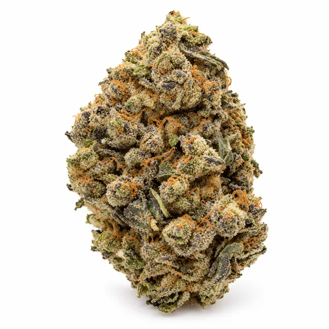 AI-generated reimagining of Jelly Cake dried, trimmed cannabis bud on a white background.