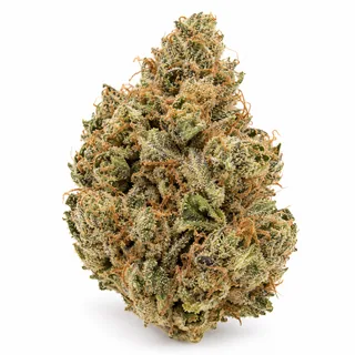 AI-generated reimagining of Lemonheads dried, trimmed cannabis bud on a white background.