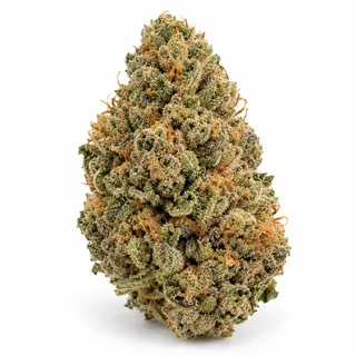 AI-generated reimagining of MAC Stomper dried, trimmed cannabis bud on a white background.