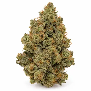 AI-generated reimagining of Nana Glue dried, trimmed cannabis bud on a white background.