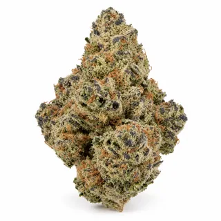 AI-generated reimagining of Northern Lights dried, trimmed cannabis bud on a white background.