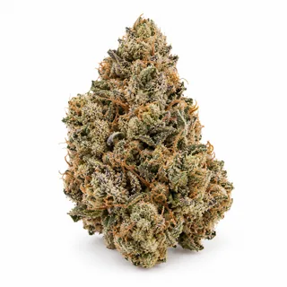 AI-generated reimagining of NYC Diesel dried, trimmed cannabis bud on a white background.