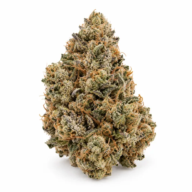 AI-generated reimagining of NYC Diesel dried, trimmed cannabis bud on a white background.