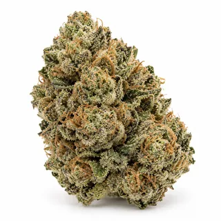 AI-generated reimagining of Platinum Cookies dried, trimmed cannabis bud on a white background.