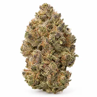 AI-generated reimagining of Platinum Kush dried, trimmed cannabis bud on a white background.