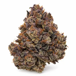 AI-generated reimagining of Purple Haze dried, trimmed cannabis bud on a white background.