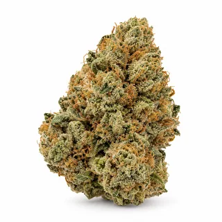 AI-generated reimagining of Romulan dried, trimmed cannabis bud on a white background.
