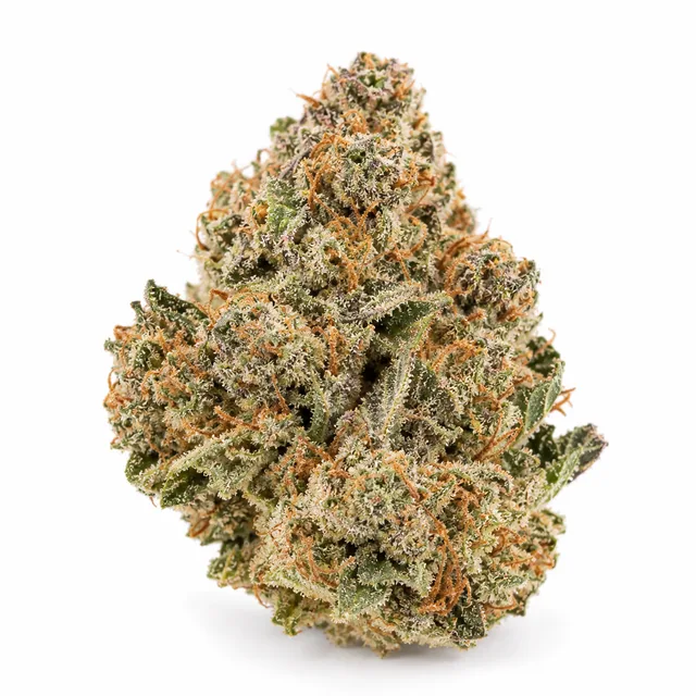 AI-generated reimagining of Snowball dried, trimmed cannabis bud on a white background.