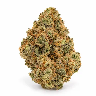 AI-generated reimagining of Sundae Driver dried, trimmed cannabis bud on a white background.