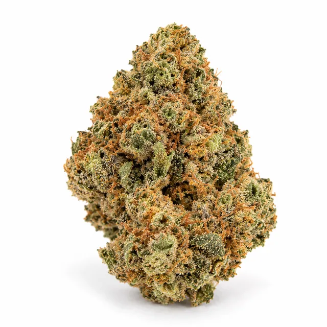 AI-generated reimagining of Sundae Driver dried, trimmed cannabis bud on a white background.