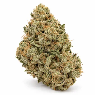 AI-generated reimagining of The White dried, trimmed cannabis bud on a white background.