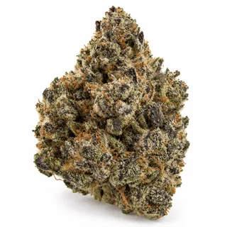 AI-generated reimagining of Toad Venom dried, trimmed cannabis bud on a white background.